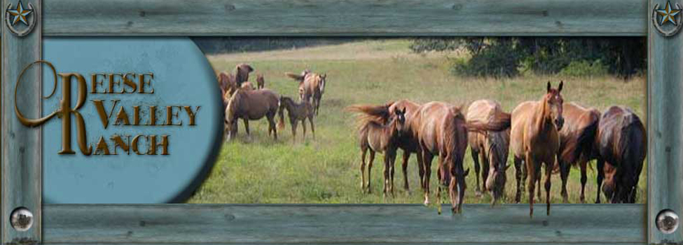 Ranch Banner | Reese Valley Ranch